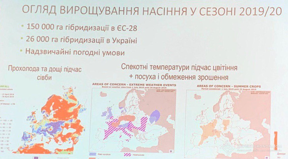 Огляд вирощування насіння у сезоні 2019/2020